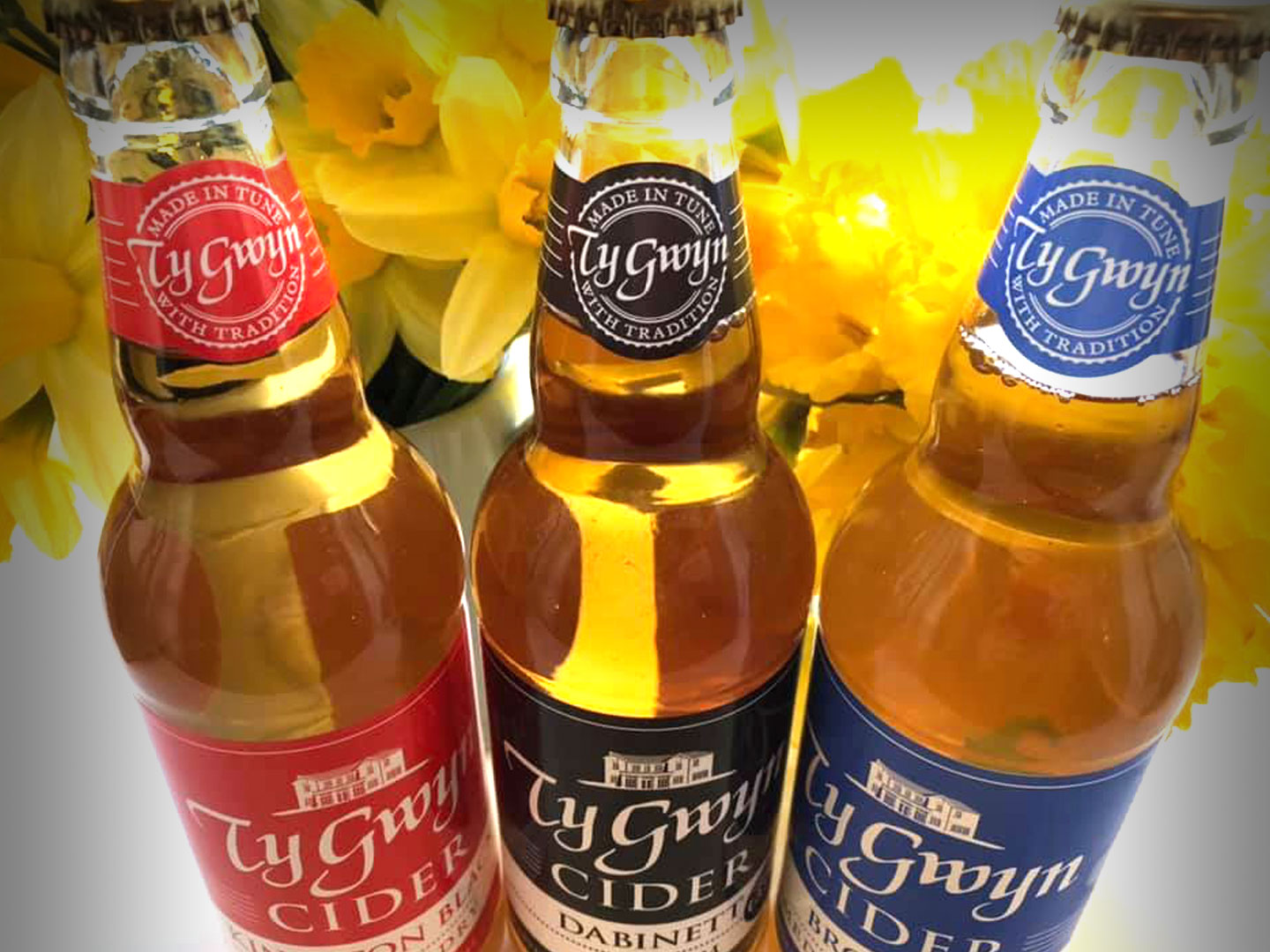 Bottles of Ty Gwyn Cider